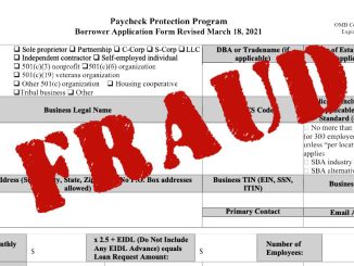 PPP-fraud